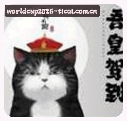 赵刚
